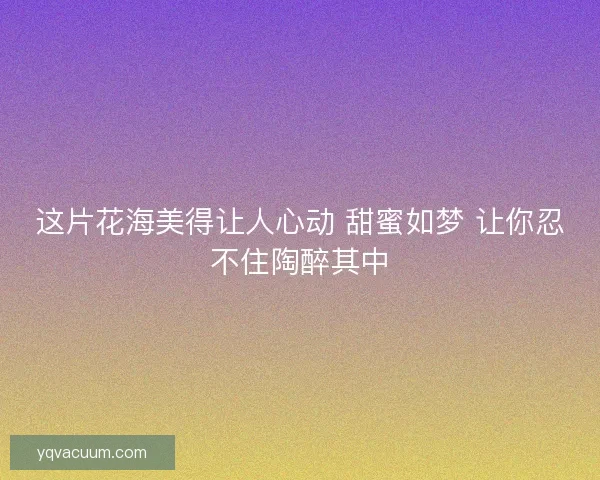 这片花海美得让人心动 甜蜜如梦 让你忍不住陶醉其中